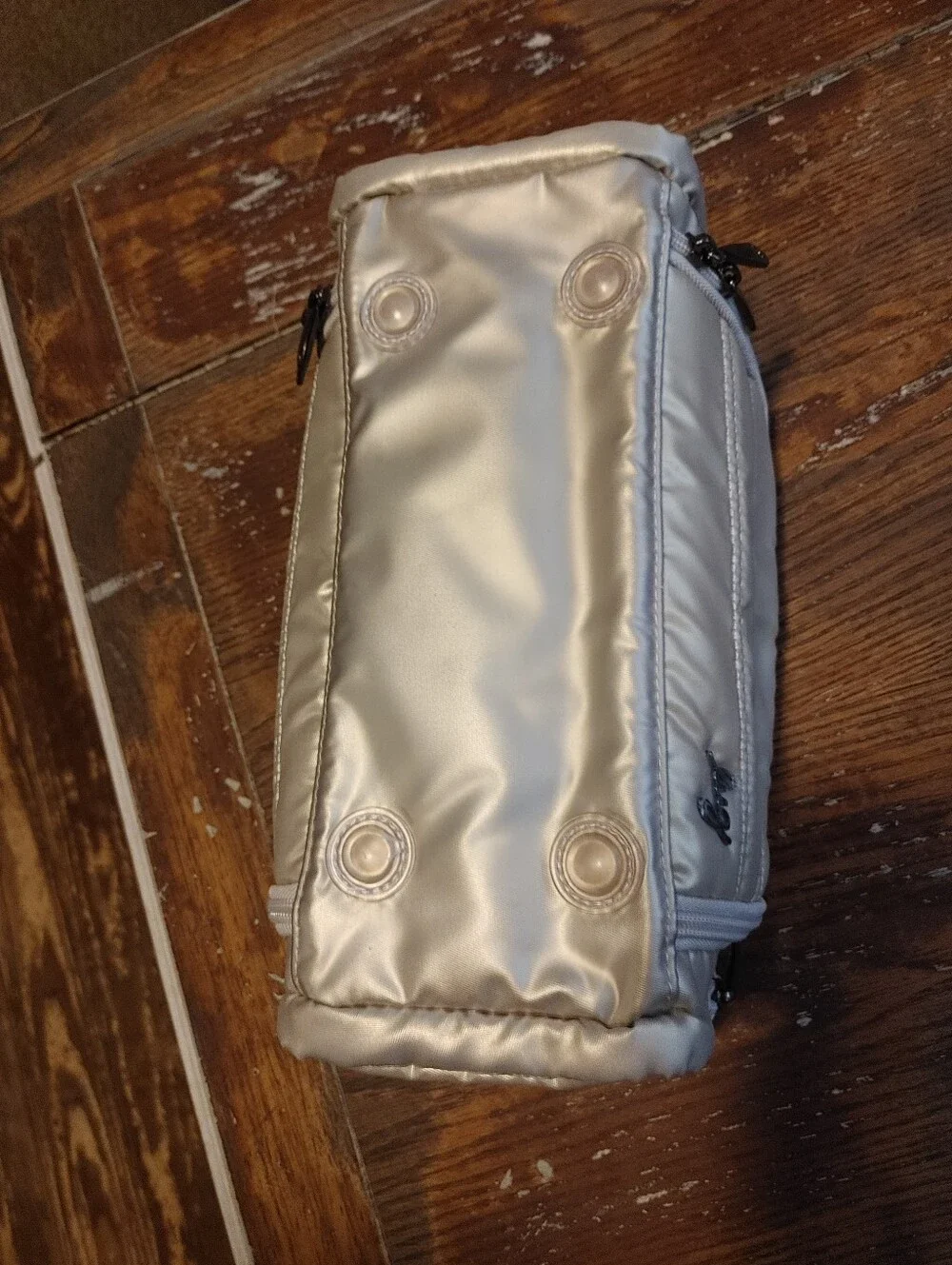 Lug Trolley Medium Cosmetic Case for Travel in Metallic Champagne